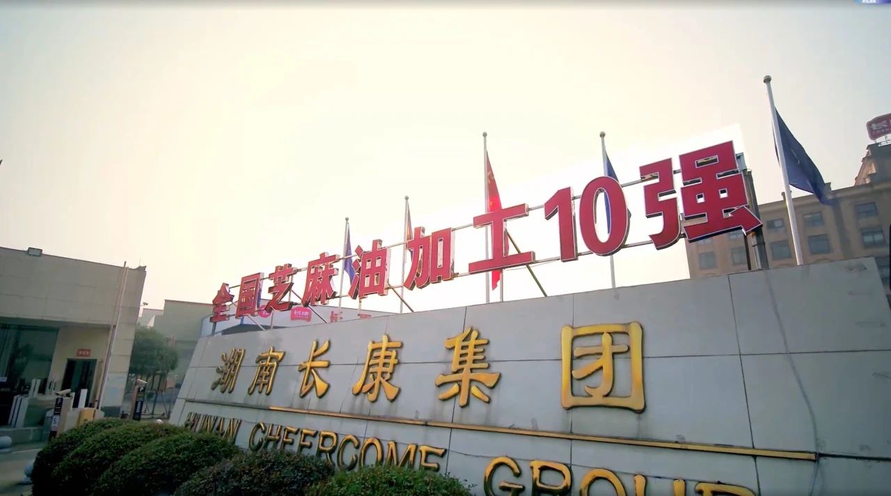 在傳承與創新中砥礪前行，長康老字號再獲殊榮！